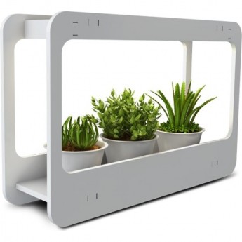 Подставка-светильник для растений JAZZWAY PMG 002 LED 14W 4000K Подставка-светильник для растений JAZZWAY PMG 002 LED 14W 4000K