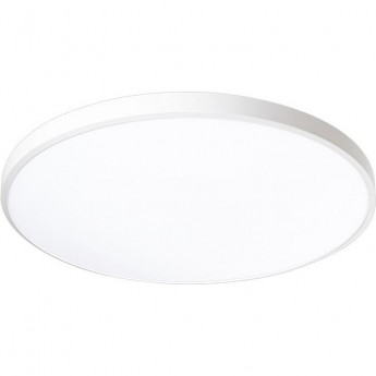 Светильник светодиодный декоративный JAZZWAY 5060814 PPB OPAL 30Вт 4000К WH d260X55 IP20 настенно-потолочный бытовой Светильник светодиодный декоративный JAZZWAY 5060814 PPB OPAL 30Вт 4000К WH d260X55 IP20 настенно-потолочный бытовой